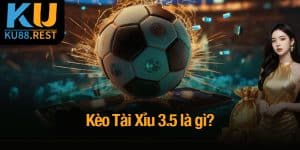kèo Tài Xỉu 3.5 là gì