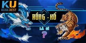 Rồng Hổ là gì