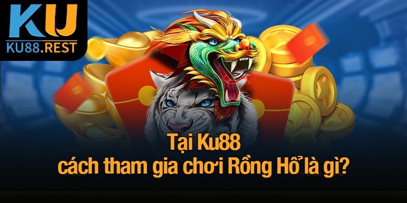 Rồng Hổ là gì? Bí kíp chơi hiệu quả cho mọi game thủ 5 Tại Ku88, cách tham gia chơi Rồng Hổ là gì?