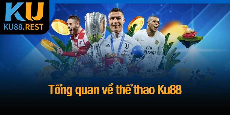 Tổng quan về thể thao Ku88